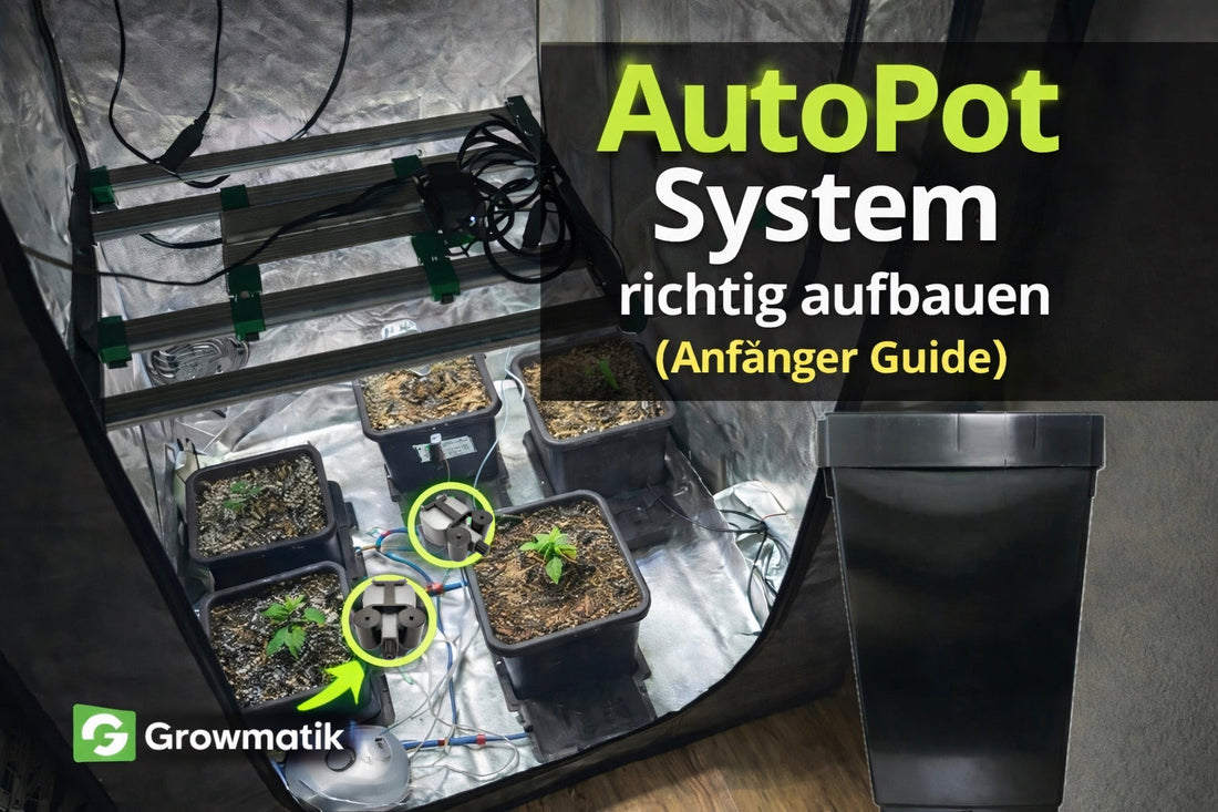 AutoPot System richtig aufbauen 🌱 Anfänger Guide | Fehler vermeiden & Setup erklärt